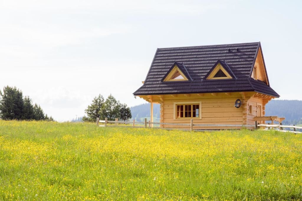 Шале Domek Trzy Doliny Zakopane II Three Valleys Chalet Zakopane II Закопане