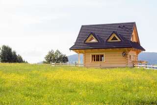 Шале Domek Trzy Doliny Zakopane II Three Valleys Chalet Zakopane II Закопане Шале с двумя спальнями-29